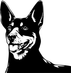 Vector australian kelpie dog head silhouette. Black on white element for design card, illustration, poster, logo about animals.