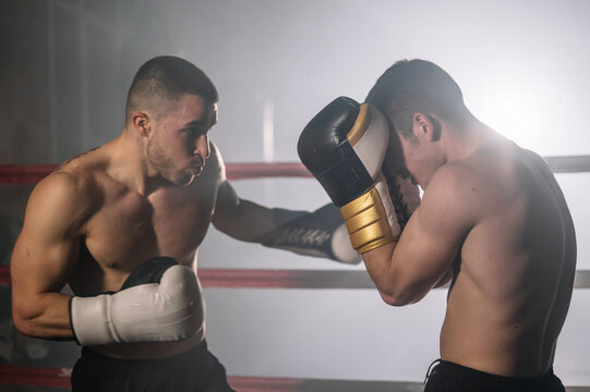 Boxers Fighting Images – Browse 126,612 Stock Photos, Vectors, and Video |  Adobe Stock