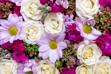 The Floral background of roses and chrysanthemums