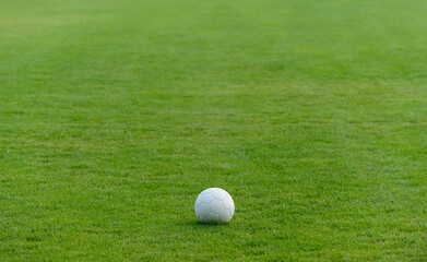 soccer ball on green grass