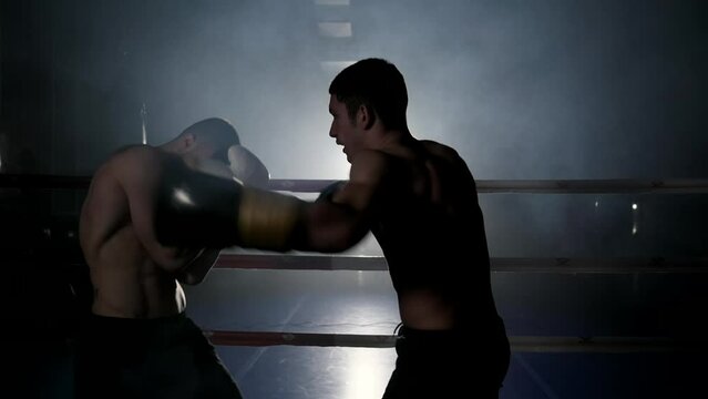 Two muscular mixed martial arts athletes fighting in the ring. High quality footage