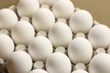 White eggs on a white background.side view