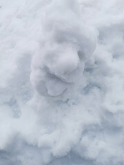 Figure Funny Dog Made White Snow