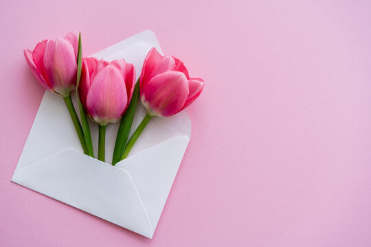top view of blooming tulips in white envelope on pink, mothers day concept.