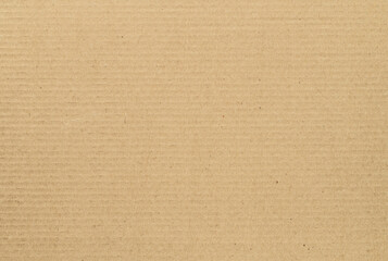 Sheet of brown cardboard paper. Textured backdrop