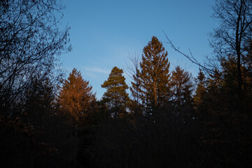 Landschaft zum Sonnenuntergang