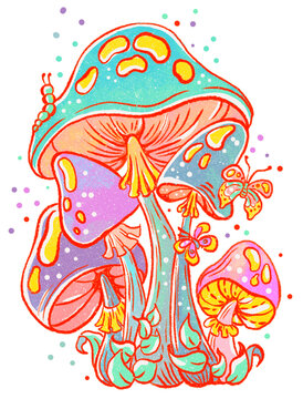 Colorful vibrant bright mushrooms over white