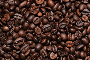 coffee beans close up