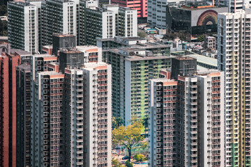 Fototapeta na wymiar Unique view of Hong Kong. Tree surround by tall residential buildings in urban area, downtown