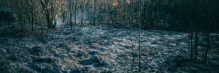 ash of burnt grass in field near forest, some smoke in distance, panorama vintage color