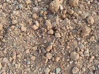 pebbles on the beach