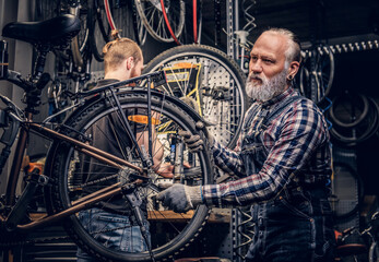 Obraz na płótnie Canvas Aged craftsman with his young grandson repairing bicycles
