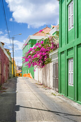 Fototapeta na wymiar Sunny day in Willemstad, Curacao - walking through alleys with colorful painted houses and blooming bougainvillea