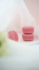 Pink french macarons on white delicate background