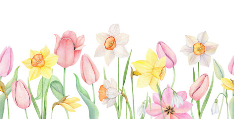 Obraz na płótnie Canvas Floral seamless border. Watercolor pink tulip, yellow and white daffodles ornament. Hand drawn watercolor illustration. Decorative design elements.