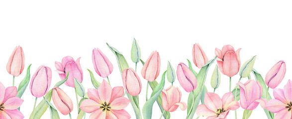 Floral seamless border. Watercolor pink tulip ornament. Hand drawn watercolor illustration. Decorative design elements.