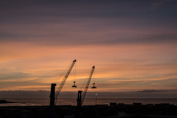 cranes at sunset