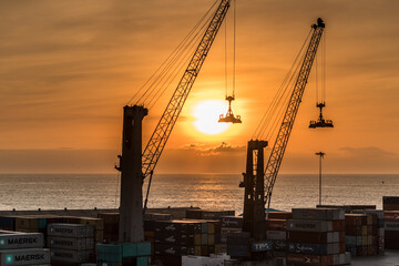cranes at sunset