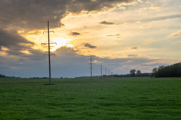 Fototapeta na wymiar Green field and electric poles at sunset. Civilization.