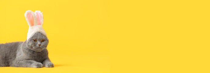 Cute cat with bunny ears on yellow background with space for text. Easter celebration