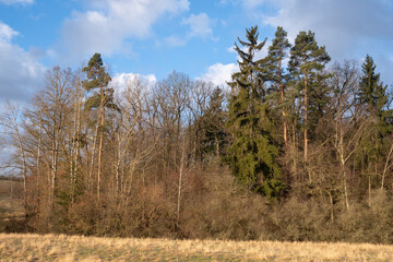 Obraz premium Landschaft im Frühjahr