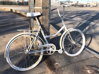 bicycles in the street