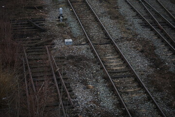 Fototapeta na wymiar Abandoned railroad tracks. Steel rails overgrown with grass