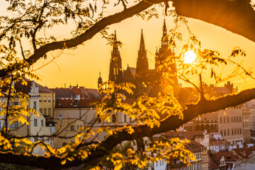 The Cathedral of St. Vitus, Wenceslas and Adalbert and the Virgin Mary is the most important Czech...