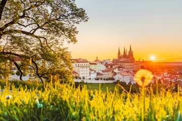Rolgordijnen Petřínské sady is the collective name for the park on the north-eastern slope of Petřín. The dominant feature is Prague Castle and in the foreground is a dandelion © Petr