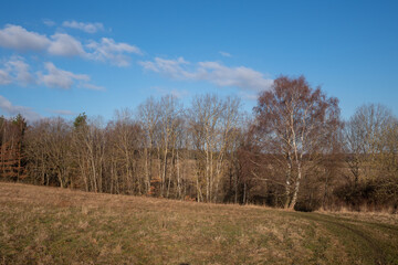 Obraz premium Landschaft im Frühjahr