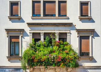Fototapeta premium A balcony with overgrown plants