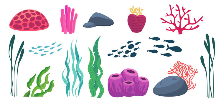 Underwater elements. Set of seaweeds, corals, seabed objects. flocks of fish