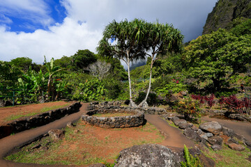Botanical Garden in the Iao Valley in the west of Maui island in Hawaii, United States