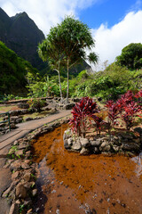 Botanical Garden in the Iao Valley in the west of Maui island in Hawaii, United States