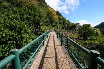 Fototapeta premium Pedestrian bridge in the Iao Valley in the west of Maui island in Hawaii, United States