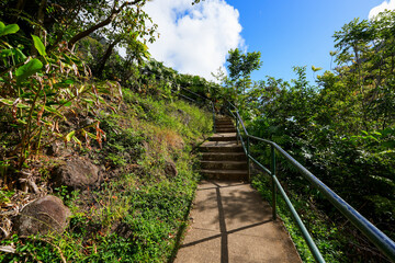 Fototapeta na wymiar Stairs going up into the rainforest of the Iao Valley in the west of Maui island in Hawaii, United States