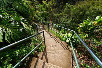 Stairs going down into the rainforest of the Iao Valley in the west of Maui island in Hawaii, United States