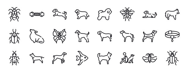 insects thin line icons collection. insects editable outline icons set. dog lying, shetland sheepdog, pollen beetle, corgi, leaf butterfly, afghan hound stock vector.