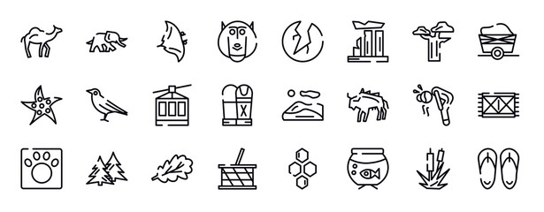 desert thin line icons collection. desert editable outline icons set. baobab, wagon, starfish, crow, cable car, sarcophagus stock vector.