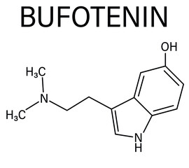 Bufotenin molecule. Tryptamine present in several psychedelic toads. Skeletal formula.