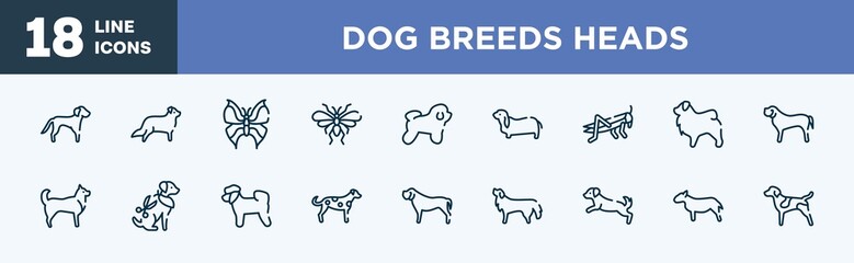 set of dog breeds heads icons in outline style. dog breeds heads thin line icons collection. springer spaniel, bernese mountain, leaf butterfly, null, bichon frise, bas hound vector.