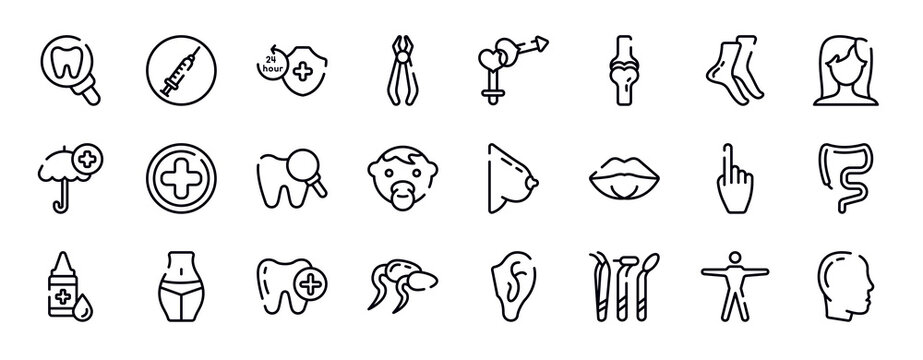 body parts thin line icons collection. body parts editable outline icons set. tiptoe feet, brunette female woman long hair, umbrella with plus, hospital medical, zoom on tooth, baby face stock