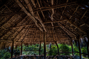 thatched roof house