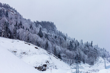 Fototapeta na wymiar Winter mountain forest, snow-covered trees, panoramic views on the edge of the cliff, snow caps on the branches of the forest.