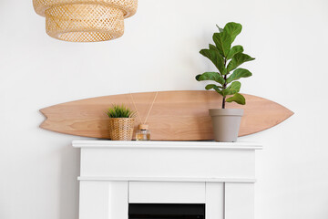 Wooden surfboard, houseplants and reed diffuser on mantelpiece near light wall