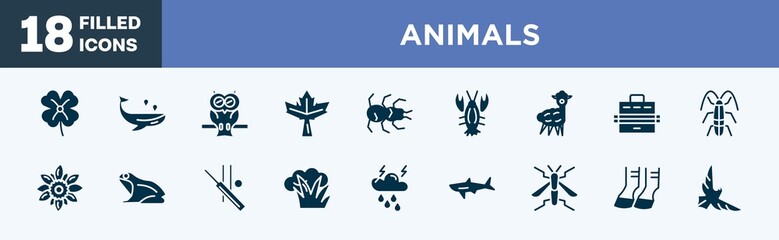 set of animals icons in filled style. animals editable glyph icons collection. clover, whale, owl, maple leaf, tarantula vector.