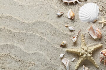Fototapeta na wymiar Many different sea shells and starfish on beach sand