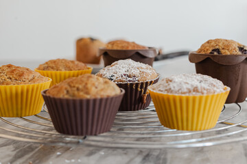 Vegan coconut and blueberry muffins. Vegan cake