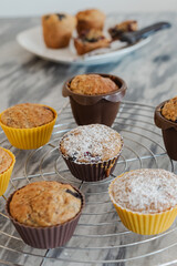 Homemade blueberry and coconut muffins. Vegan cake