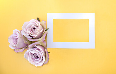 White frame on yellow background with tree roses.
Pastel color of roses.Flat lay phptp.Spring concept.